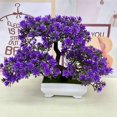 thumbnail image 2 of Luckyn A Simulation Lotus Pine Flower Bonsai Set Small Potted Green Plants, 2 of 6