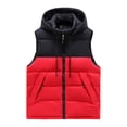 thumbnail image 1 of FAIWAD Gilet Matelassé Sans Manches pour Femmes Grande Taille avec Col Montant et Poches, 1 of 3