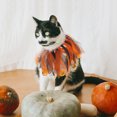 thumbnail image 2 of Collier Chaton Halloween Collier Adorable Collier Décoratif Chat Collier Ras du Cou Fournitures pour Animaux de Compagnie, 2 of 8