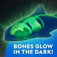 thumbnail image 5 of National Geographic Laboratoire de dissection phosphorescent – Requin (avec Recharge) 6 ans et plus, 5 of 5