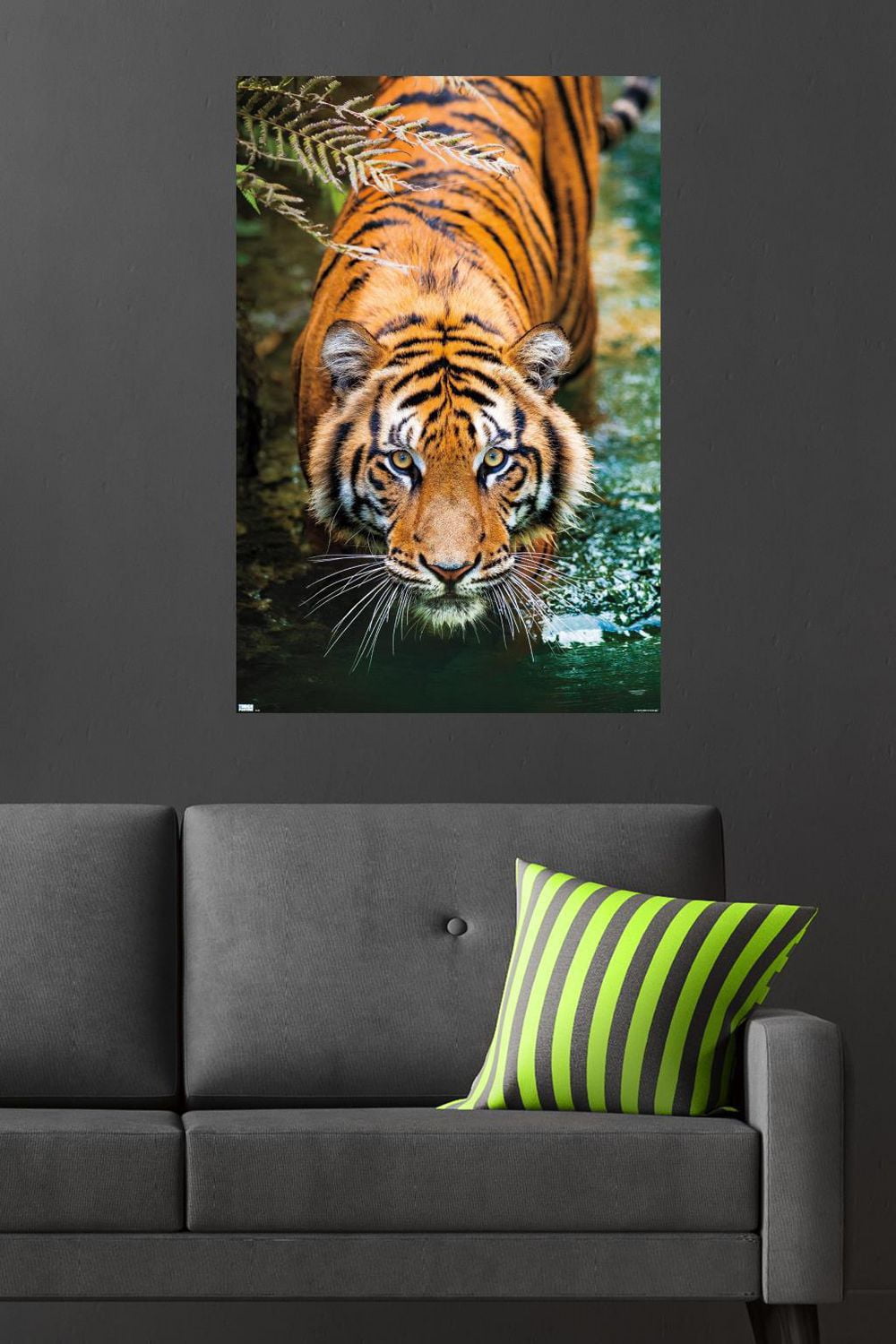 Tiger - Water Wall Poster, 22.375" x 34"