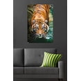 thumbnail image 4 of Tigre - Eau, 4 of 4