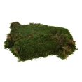 thumbnail image 1 of Vickerman H1MOU160 Sac en Feuille de Mousse Verte de 8 Oz, 1 of 1