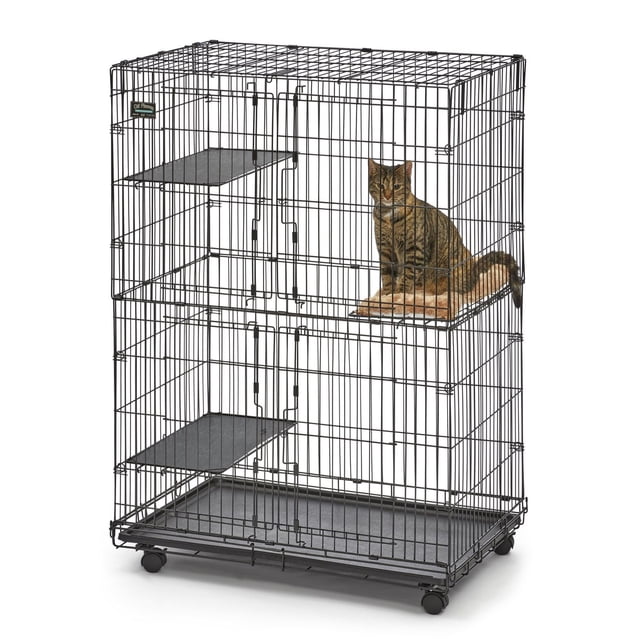 MidWest 3 Platform Cat Playpen Cage Cat Condo Tower with black metal wireframe, three adjustable resting platforms including a deluxe chenille cat bed occupied by a tabby cat, four locking caster wheels for mobility, and a slide-out leak-proof ABS plastic floor pan, shown in a front 3/4 view on white background, suitable for indoor cat containment and play.
