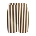 thumbnail image 5 of Plebaso Shorts pour Femmes 2025 Shorts de Plage à Rayures Taille Haute Mode Décontractée Leggings Courts pour Femmes, 5 of 5