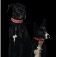 thumbnail image 4 of ATHENS Leather Dog Collar Multi- Row Rhinestones, 4 of 4