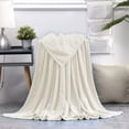 thumbnail image 1 of Solid Color Flannel Blanket Gift Gift Velvet Conditioning Blanket Casual Cover Blanket Solid Color Blanket 59.05x39.37 Inches, 1 of 7
