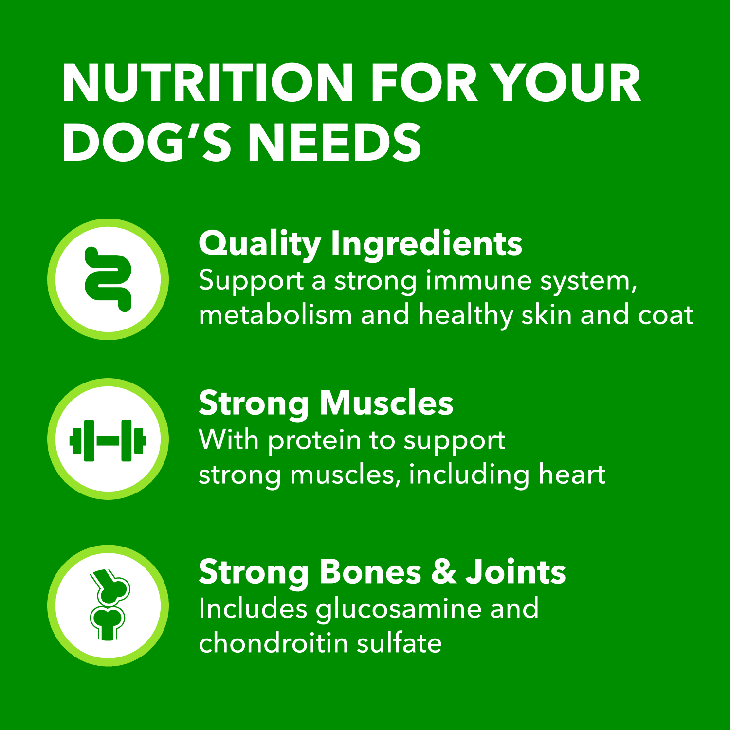 Iams Recette au Poulet & Grains Entiers Adulte Grande Race Nourriture Sèche pour Chiens 10kg
