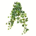 thumbnail image 1 of Vickerman 28" Varigated Green Ivy Hanging Bsh 2/Pk - FZ190228, 1 of 3
