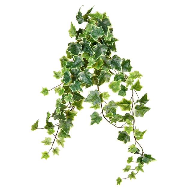 Vickerman 28" Varigated Green Ivy Hanging Bsh 2/Pk - FZ190228
