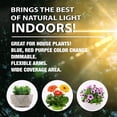 thumbnail image 2 of Bell + Howell Bionic Grow lampe DEL UV pleine lumière 3 têtes flexibles pour plantes d’intérieur, 8 intensités, 3 modes, 2 of 7