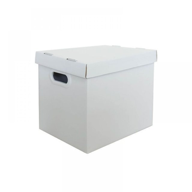 Kraft Paper Comic Book Storage Boxes - Holds 150-175 Comics, White