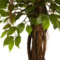thumbnail image 3 of Nearly Natural 5379 Ficus de 7,5 Pi Résistant aux UV - Intérieur-Extérieur, 3 of 5
