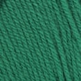 thumbnail image 4 of Mainstays Medium Acrylic Yarn Green V, 7 oz  397 Yards, 4 of 4