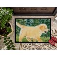 thumbnail image 3 of Carolines Treasures SS8859MAT Golden Retriever Tapis Intérieur Extérieur - 18 x 27 Po., 3 of 4