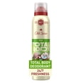 thumbnail image 1 of Old Spice Whole Body Deodorant for Men, Total Body Deodorant, Fiji, Aluminum Free Spray for 24/7 Freshness, 1 of 20