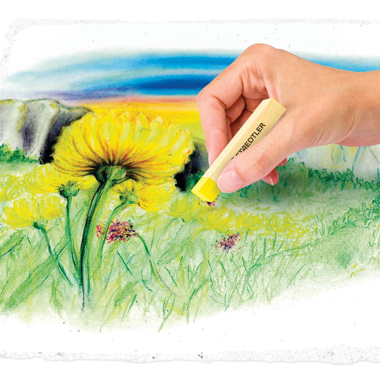 Staedtler Soft Chalk Pastels