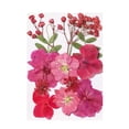thumbnail image 3 of Pcksrro Home Decorations Items and Hanging Ornaments Deal!Colorful Natural Dried Flowers And Embossed Decorative Set, 3 of 5