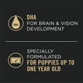 thumbnail image 4 of Purina Pro Plan Development Puppy Chicken & Rice Entrée Classic, Wet Puppy Food 368 g, 4 of 10