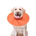 thumbnail image 2 of CBFFDC Lightweight Pet Collar Protective Pet Recovery Collar Comfortable Water Resistant Quick Drying High Elastic Neckline Pet Supply, 2 of 6