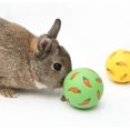 thumbnail image 2 of Niteangel Treat Ball, Snack Ball for Small Animals, 2 of 5