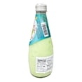 thumbnail image 4 of T. A. S. Boisson de Lait de Coco – Melon, 4 of 4