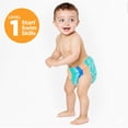 thumbnail image 3 of Aqua Leisure Swim School - Reusable Swim Diaper - MED 18-22 lbs, 3 of 8