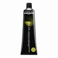 thumbnail image 1 of Loreal professionnel iNOA Coloration Permanente Sans Ammoniaque - 6.0/6NN, 1 of 1