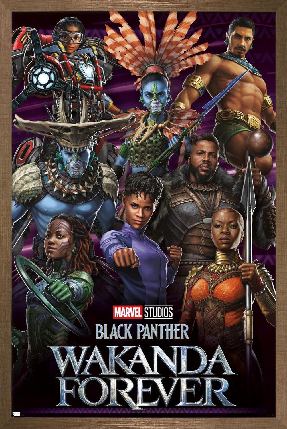 Marvel Black Panther : Wakanda Forever - Groupe