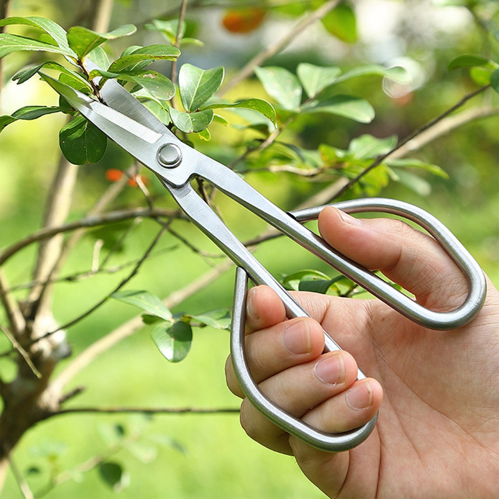 Uscallm Gardening Pruning Shears Stainless Steel Professional Bypass Secateurs For Tree Branches Trimming Flower Plants Pruning Scissors Garden Tool