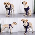 thumbnail image 2 of Special Buys! Restore Manchon pour Chien avec Protection avant-Jambe Anti-Léchage, 2 of 11