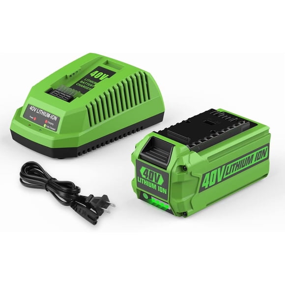 40V 6.0Ah 29462 29472 Replacement for Green-works 40 Volt Battery and Charger 29482 Compatible with Green-works 40V Lithium-Ion Battery 29252 20202 22262 40 Volt G-MAX