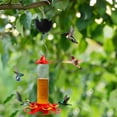 thumbnail image 4 of Fosse pour Fourmis Rouges pour Mangeoire de Colibris, Protège-Fourmis avec Réservoir Transparent, Crochet en Acier Inoxydable, Déco de Jardin Extérieure, Empêche les Fourmis de s'Alimenter, 4 of 8