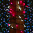 thumbnail image 3 of Novelty Lights 24FT 70 LED C6 Outdoor Valentine's Day String Lights, 3 of 6