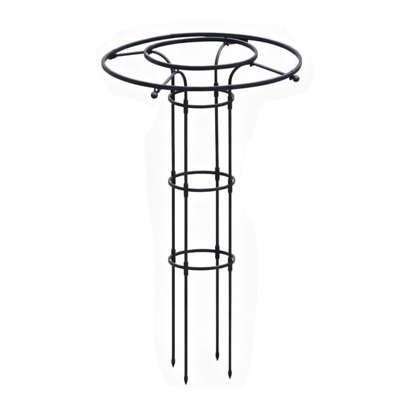 Outdor Jardin Vertical pour Escalade Bricolage Assemblage Non Requis Parfait pour Roses Glycine et Plus
