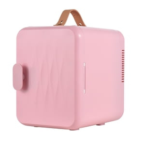 6L/8 Boîtes 2-in-1 Mini Réfrigérateur pour soins de la peau 110V(AC)/12V(DC) Frigidaire de beauté Thermoélectrique
