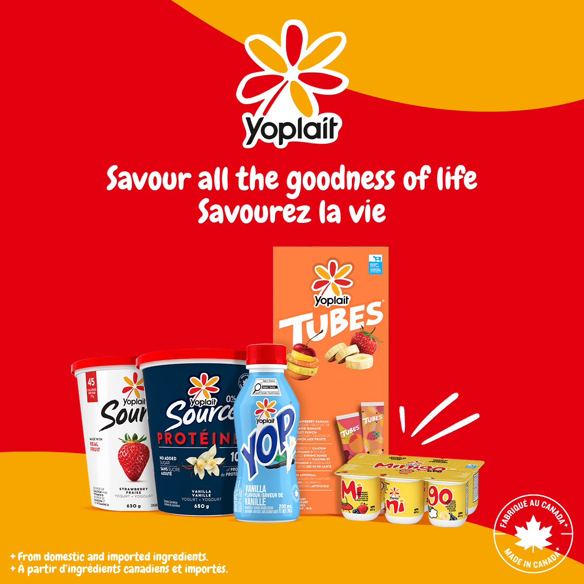 Yoplait 2 % Minigo Duo, Variété, Collation pour Enfants, 6x60g