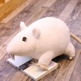 thumbnail image 3 of POINTERTECK 20cm Simulation Mouse Plush Doll Soft Stuffed Rat Plush Animal Toy Children Gift, 3 of 8