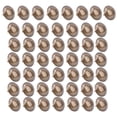 thumbnail image 3 of Upholstery Nails,50PCS Thickened Upholstery Nails Hardware Parts Stud Pushpin Custom Engineered, 3 of 5