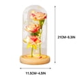 thumbnail image 3 of TopLLC Cadeau de la Saint-Valentin Lampe de Nuit Led 3 Roses Abat-Jour en Verre Ornements, 3 of 6