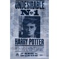 thumbnail image 1 of The Wizarding World: Harry Potter - Undesirable Wall Poster, 22.375" x 34", 1 of 4