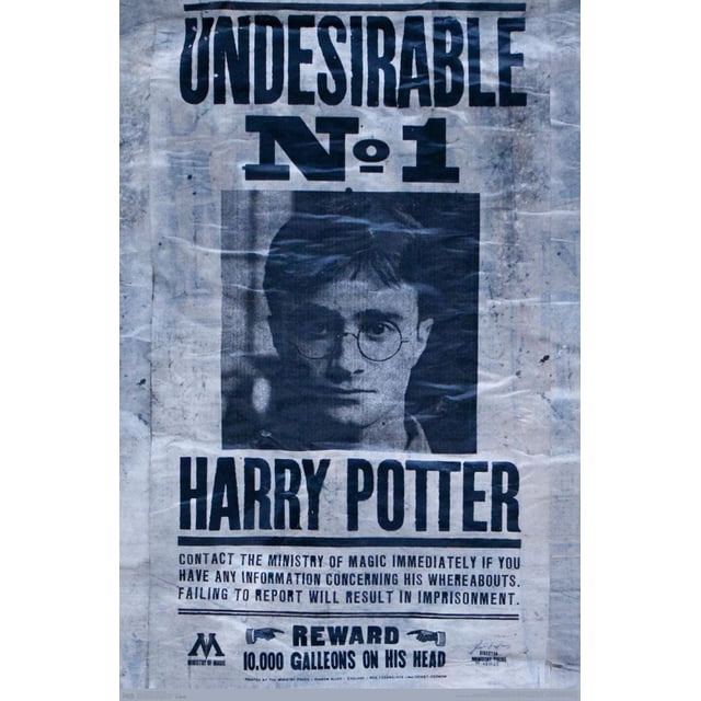 The Wizarding World: Harry Potter - Undesirable Wall Poster, 22.375" x 34"