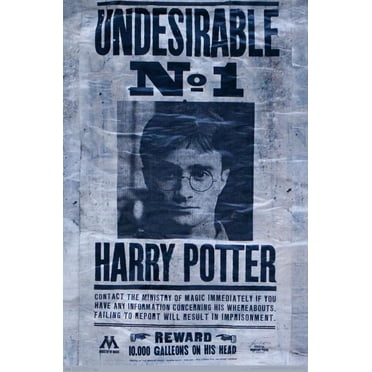 Le Monde des Sorciers : Harry Potter - Indésirable