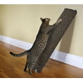 thumbnail image 2 of Chat de penchement large rayant le poteau, 2 of 2