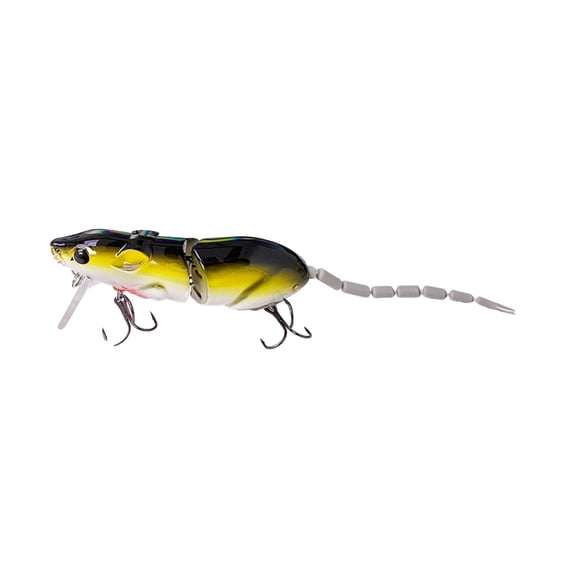 Realistic 3D For Trout & Catfish Fishing For Freshwater & Saltwater Baitcaster Reels Baitcaster Rod And Reel Combo Baitcaster Rod Baitcaster Baitcaster Combo Baitcaster Reels And Rod Combo Baitcaster