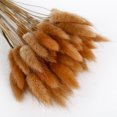 thumbnail image 1 of CAROOTU 50 Pcs Dried Flower Grass Decoration Photography Props for Home Store Wedding, 1 of 5