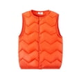 thumbnail image 3 of Gilet pour Tout-Petits 2-10 Ans pour Garçons Filles Couleur Unie Gilets en Coton Bébé Léger Doudoune Sans Manches Veste Unisexe, 3 of 7