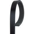 thumbnail image 1 of Ceinture Serpentine Standard 5K630 par ACDELCO PROFESSIONAL CANADA, 1 of 1