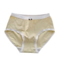 thumbnail image 1 of Ultra-Soft Cotton Imitation Girls Underwear - Breathable Mid Rise Hypoallergenic Panties (3-15Y), 1 of 5