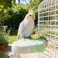 thumbnail image 4 of BotaniNest Natural Parrot Stand With Grooming Branches For Climbing Chewing And Care, 4 of 6